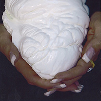 The largest known pearl weighs 6.4 kilos (14 pounds), and is about the size of a large loaf of bread. It is from a giant clam found near an island in the Philippines in 1934.