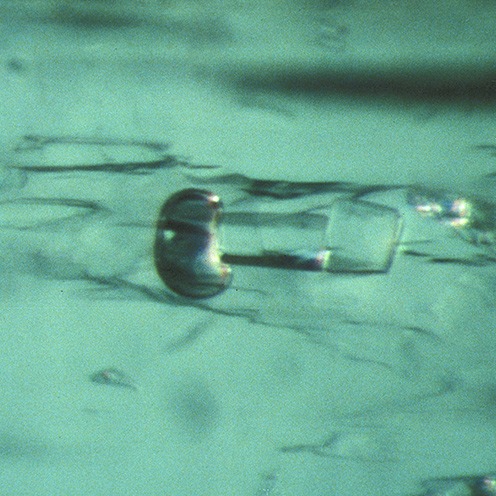 IMG - Emerald Microscope View 1 45872 496x496