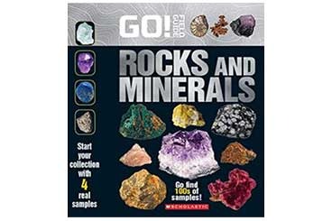 Cover of Go Field Guide Book