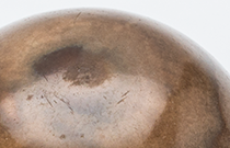 IMG - glossary - thumb - toadstone - 156682 210x135