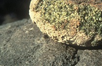 glossary weathering 14786 210x135