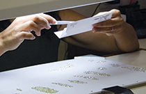 IMG - glossary - thumb - grade - 115178 210x135