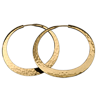 IMG - Earrings Factoid Type 61479 200x200