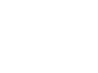 IMG - Gem Factoid Color - White