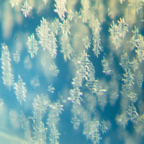 IMG - Moonstone Microscope View 1 154574 496x496